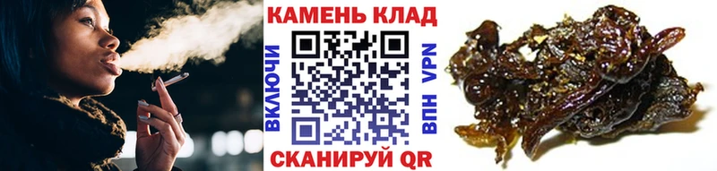 Гашиш гашик  Купить закладки  Сусуман 