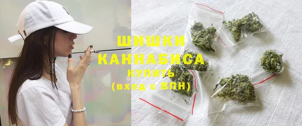 прущие грибы Кодинск