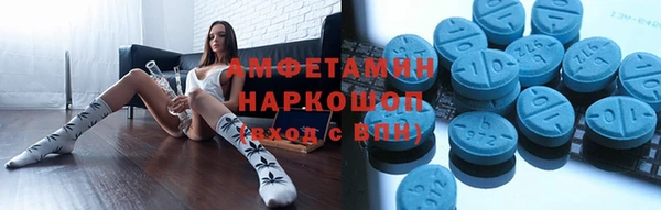 прущие грибы Кодинск