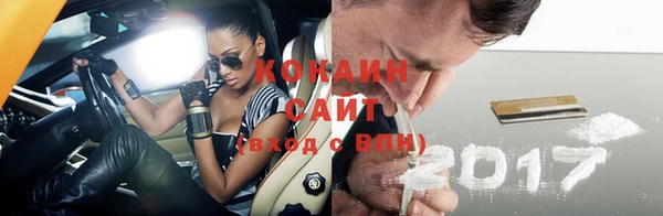 прущие грибы Кодинск