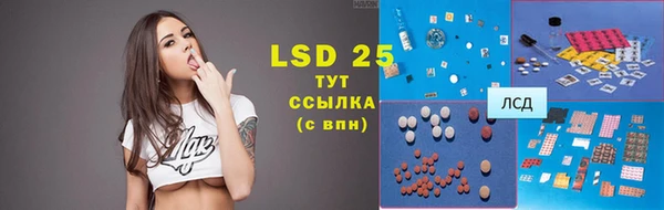 прущие грибы Кодинск