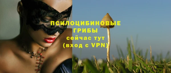 прущие грибы Кодинск