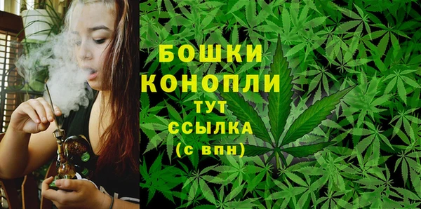 МДПВ Козельск