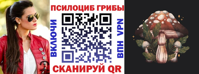 Купить  Сусуман  Галлюциногенные грибы мухоморы 